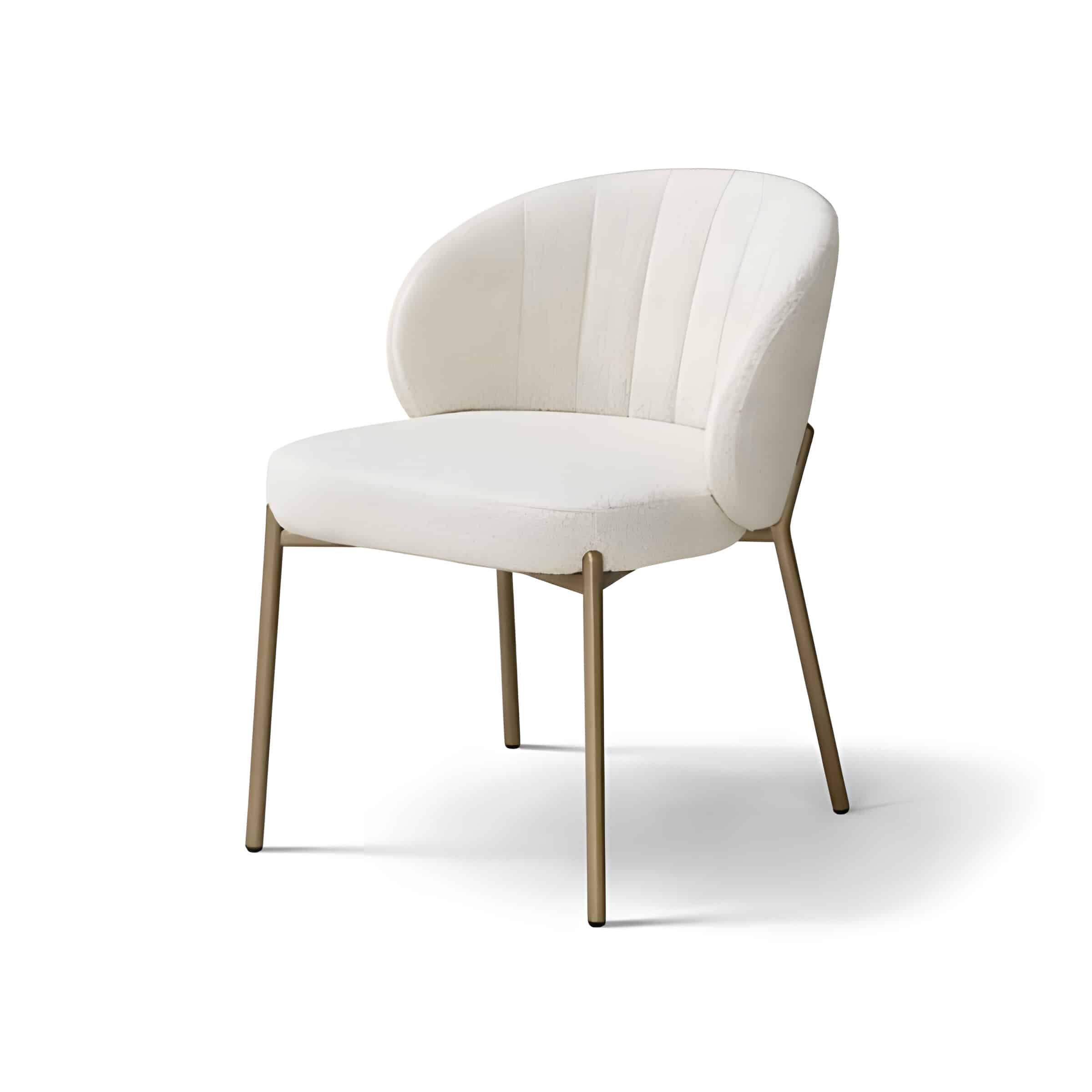 Ravo Dining Chair