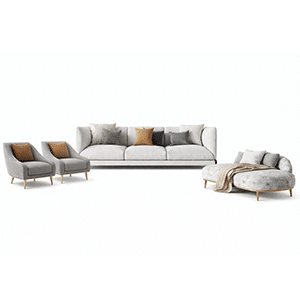 Earo Living Sofa display view for polished furniture presentation