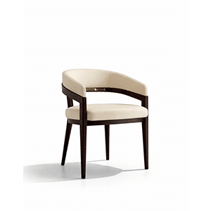 Lano Dining Chair front view for dining room furniture