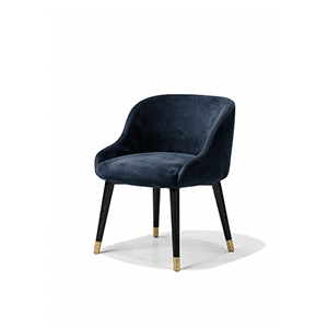 Earo Dining Chair front view for dining room furniture