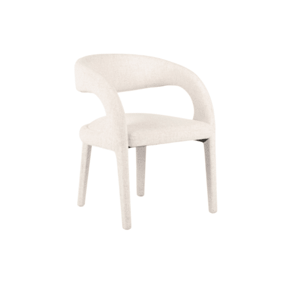 Siva Dining Chair close up view for dining room furniture